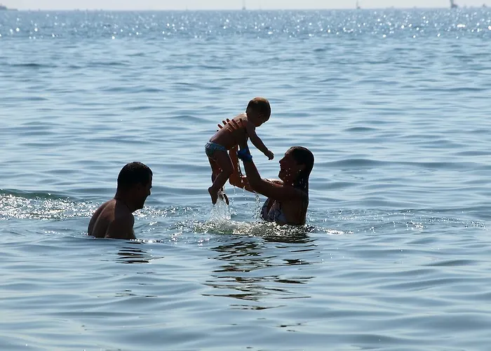 公寓 Aptos. Comte D'empuries *